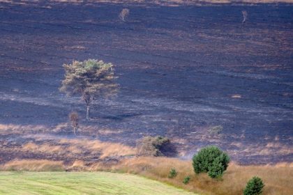 Moorbrand im Emsland: Lage nur leicht entspannt – 1252 Einsatzkräfte, Feuer unter Kontrolle