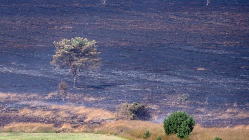 Moorbrand im Emsland: Lage nur leicht entspannt – 1252 Einsatzkräfte, Feuer unter Kontrolle