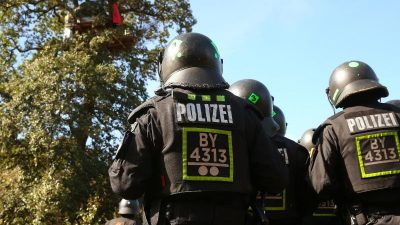 Umweltaktivistin im Hambacher Forst abgestürzt und verletzt