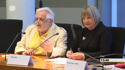 Grünen-Abgeordnete zu Lengsfeld und Broder: „Wie kommen Sie dazu, mit diesem Selbstbewusstsein ihre Petition zu präsentieren“