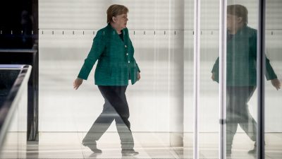 Merkel lobt Umweltzeichen „Blauer Engel“