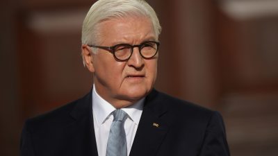 Steinmeier: Taten wie Angriff auf Magnitz dürfen nicht instrumentalisiert werden