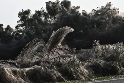 Ein Spinnennetz von 1000 Metern – Spinnen hüllen griechische Landschaft in riesiges Netz