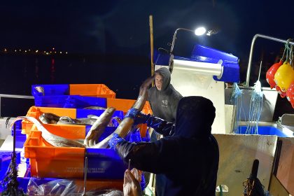 Karpfen und Wels ist okay – Aal und Hai nicht