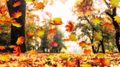 Herbstlich sonnige Tage – Von Emanuel Geibel