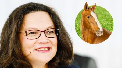 Nahles will „Parlamentskreis Pferd“ gründen – und wird prompt von Häme überhäuft