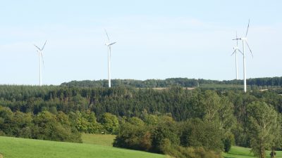 Der Hambacher Forst als Quasireligion: Schwarz-Grün holzt in Hessen ab