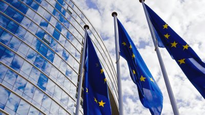 EU-Wahlkampf: 1000 überflüssige Gesetze und Vorschriften abschaffen
