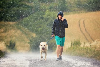 Detlev Buck: Hunde sind „Türöffner“ für Kommunikation