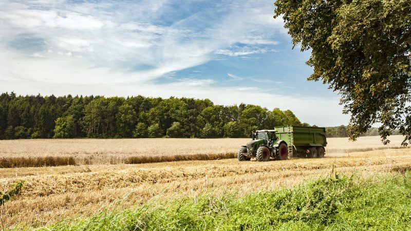 Grüne fordern Vorrang für Biobauern bei Staatsflächen im Osten