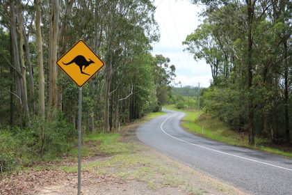 Der einsamste Polizist Australiens – auf Streife begegnen ihm eher Kamele, Hunde und giftige Schlangen