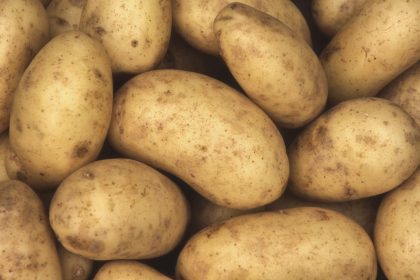 Zwei Tonnen Kartoffelbrei verteilen sich auf Autobahn in NRW