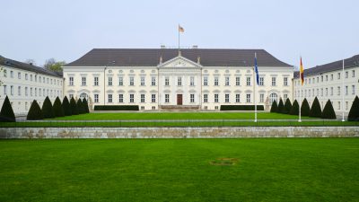 30 Jahre Mauerfall: Steinmeier präsentiert DDR-Gemälde in Schloss Bellevue