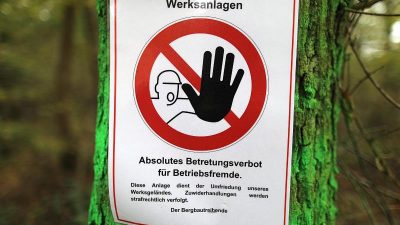 Richter entscheiden über Demonstration am Hambacher Forst