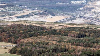 Ökosuchmaschine will RWE den Hambacher Forst für eine Million Euro abkaufen