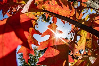Keine Spur von Regen oder Schnee: Goldener Oktober bleibt