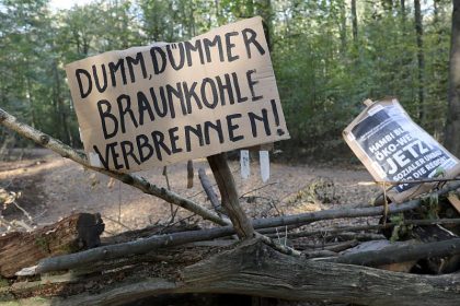 Öko-Suchmaschine Ecosia will Hambacher Forst kaufen
