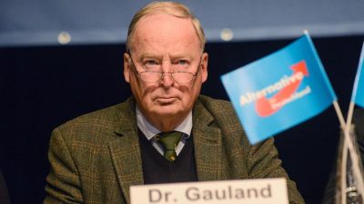 AfD-Chef Gauland: „Bezahlte Quislinge mit Naziparolen haben in der AfD nichts zu suchen“