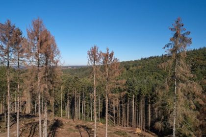 Trockenheit in Deutschland steuert auf Ausnahmewert zu