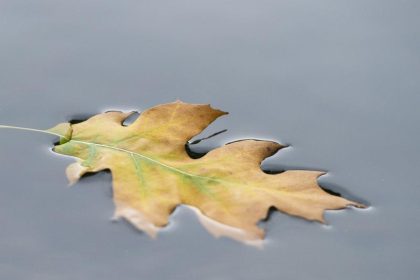 Das Wetter bleibt herbstlich