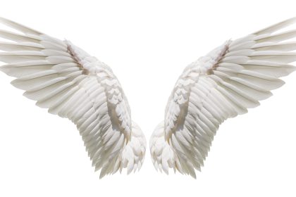 Der Engel im Walde – Von Gertrud Kolmar