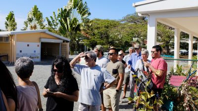 Wird Neukaledonien ein eigener Staat? Abstimmung über Unabhängigkeit von Frankreich hat begonnen