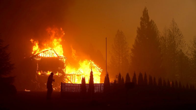 Tote und Verletzte bei schweren Waldbränden in Kalifornien – Nobel-Ort Malibu evakuiert, Highway gesperrt