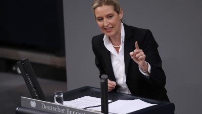 „Rassismus“: May-Kritiker teilt Bundestagsrede von Alice Weidel und wird heftig kritisiert