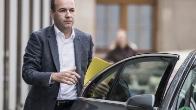 CSU-Vize Weber will nicht neuer Parteichef werden