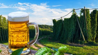 Radikale Umwelthilfe klagt Teile Deutschlands in den Stillstand – Krombacher Brauerei stoppt Spendengelder