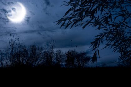 Novemberabend – Von Bruno Wille