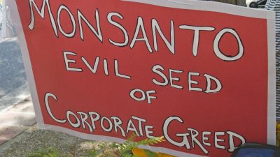 Glyphosat ist krebserregend: US-Gericht verurteilt Bayer-Tochter Monsanto
