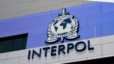 Interpol: 200 Tonnen Drogen in Lateinamerika beschlagnahmt
