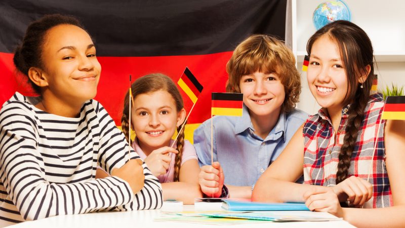 AfD in Sachsen-Anhalt will an deutschen Schulen Flagge zeigen