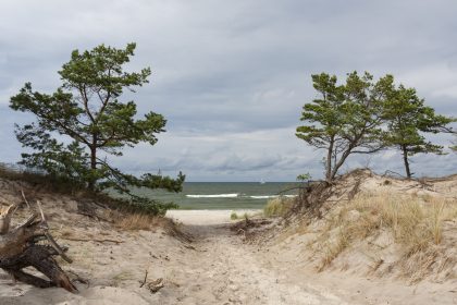 Auswertung der Handy-Daten: Wo waren die Deutschen im Sommer 2018 im Urlaub?