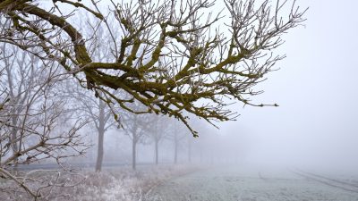 Wetteraussichten: November endet wolkig, trüb und kälter