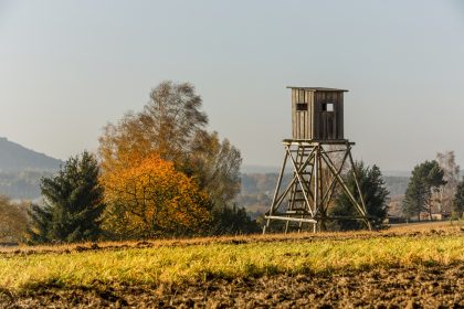 Jäger erschießt 86-jährige Frau in ihrem Garten