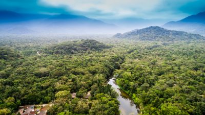Abholzung der Wälder Brasiliens beschleunigt sich