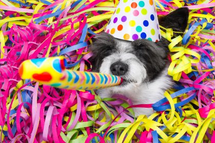 Stimmungsaufheller im November: Karneval beginnt