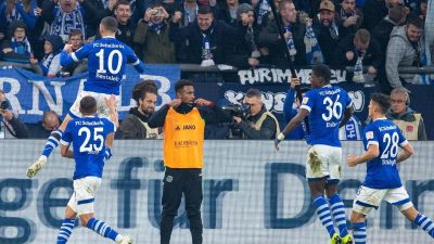 Schalke beendet Torflaute: Sieg gegen Hannover