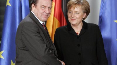 Altkanzler Schröder: „Neuwahlen spätestens Frühsommer 2019“