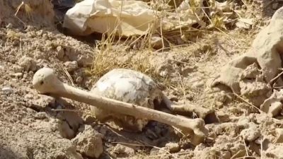 UN: 200 Massengräber im früheren IS-Gebiet im Irak entdeckt
