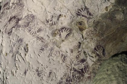 Forscher: Ältestes Bild der Welt befindet sich auf Borneo