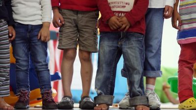 „Übelster politischer Kindermissbrauch“ in Kindergärten: AfD stellt kleine Anfrage wegen Broschüre der Amadeu-Antonio-Stiftung
