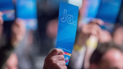 AfD: Abgeordneter Otten für die Wahl zum Bundestagsvizepräsidenten bestimmt