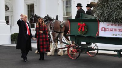 US-Präsident Trump nimmt Weihnachtsbaum für das Weiße Haus in Empfang