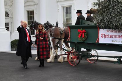 US-Präsident Trump nimmt Weihnachtsbaum für das Weiße Haus in Empfang