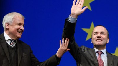 „Deutsche Brexit-Partei“: CSU-Kandidat Weber kommentiert AfD-Leitantrag