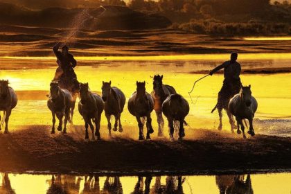 Kultur-Proteste in der Inneren Mongolei – Peking verbannt Heimatsprache aus Schulunterricht