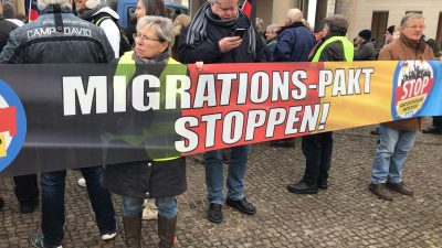 Öffentliche Anhörung der Petition gegen den UN-Migrationspakt im Bundestag + Video